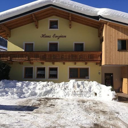 Appartement - Vollholz Studio Im Zentrum Von Flachau Extérieur photo